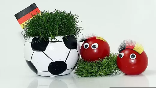 المجر وألمانيا الغربية نهائي كأس العالم 1954