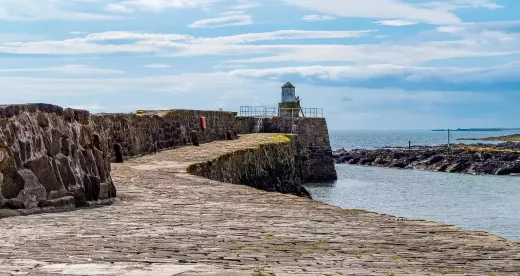 كأس العالم تحت 17 سنة فيفا